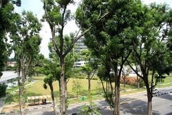 Blk 932 Yishun Central 1 (Yishun), HDB 5 Rooms #580264161